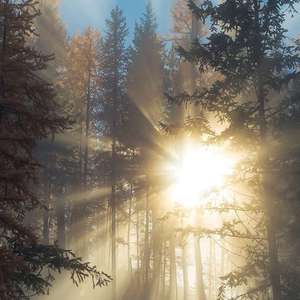 麻豆传媒,天美,91,糖心
