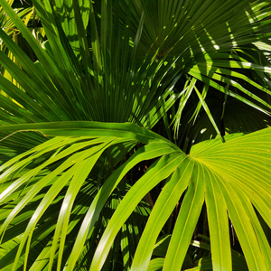 麻豆传媒,天美,91,糖心
